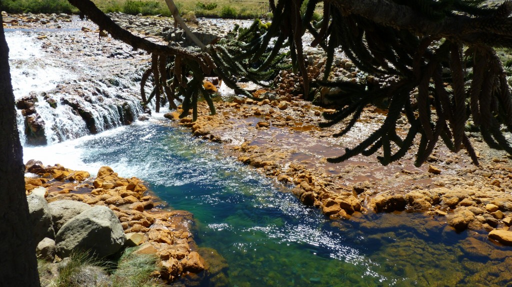 Foto: Río Agrio - Caviahue (Neuquén), Argentina
