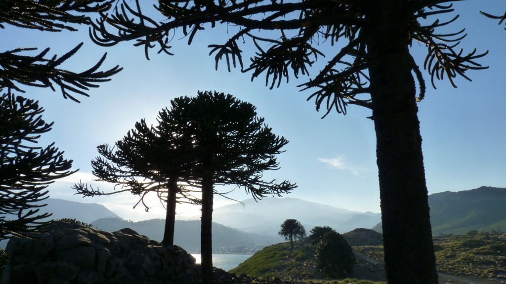 Foto: Mirador - Caviahue (Neuquén), Argentina