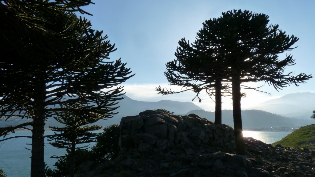 Foto: Mirador - Caviahue (Neuquén), Argentina