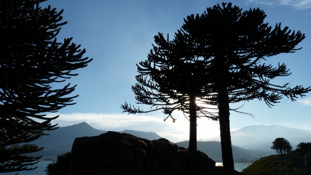 Foto: Mirador - Caviahue (Neuquén), Argentina