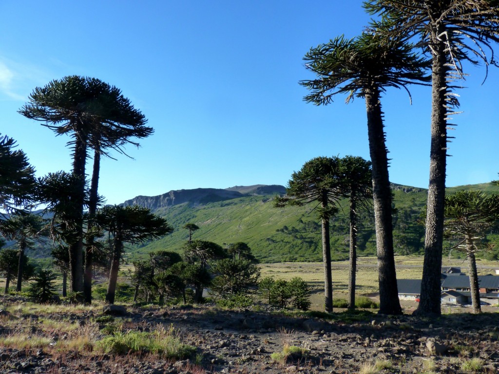 Foto de Caviahue (Neuquén), Argentina
