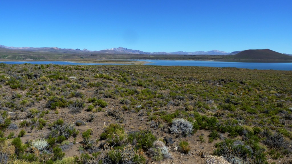 Foto: Parque Nacional Laguna Blanca - Laguna Blanca (Neuquén), Argentina