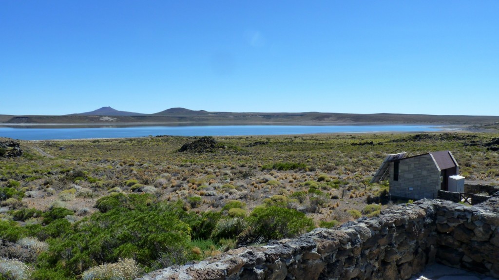 Foto: Parque Nacional Laguna Blanca - Laguna Blanca (Neuquén), Argentina