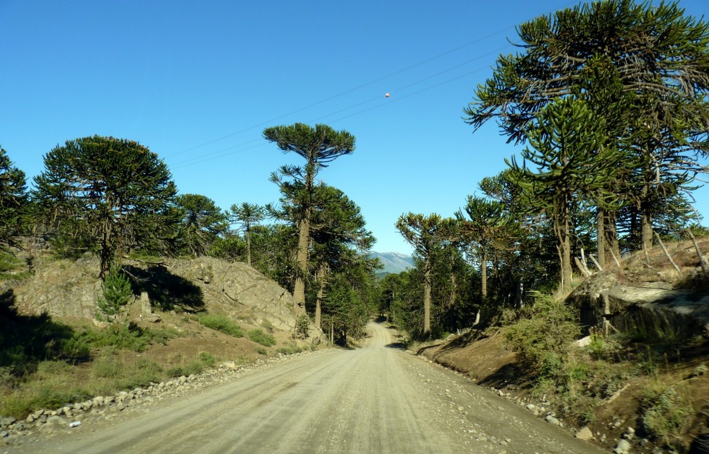 Foto de Aluminé (Neuquén), Argentina