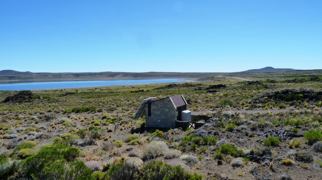 Foto: Parque Nacional Laguna Blanca - Laguna Blanca (Neuquén), Argentina