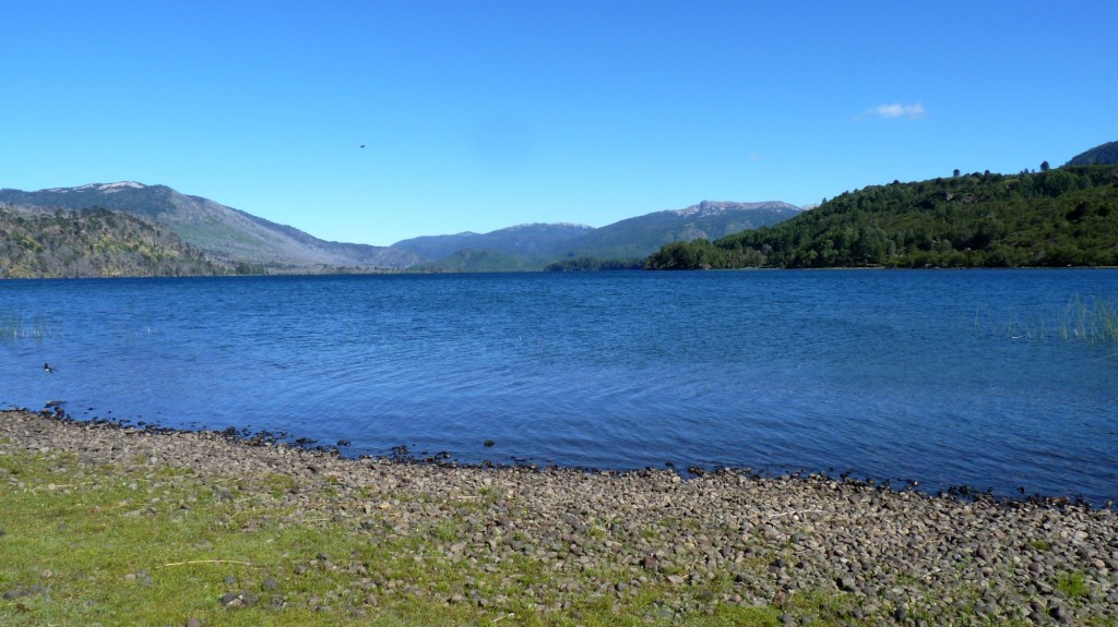 Foto: Parque Nacional Lanín. - Aluminé (Neuquén), Argentina