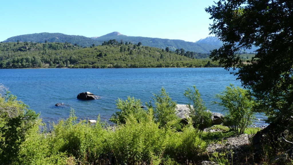 Foto: Parque Nacional Lanín. - Aluminé (Neuquén), Argentina