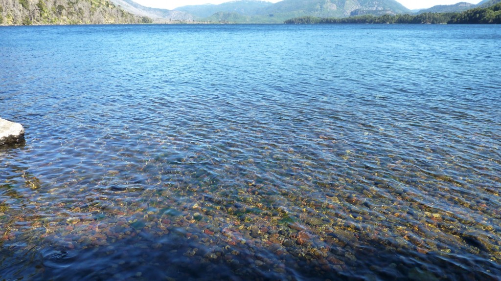 Foto: Parque Nacional Lanín. - Aluminé (Neuquén), Argentina