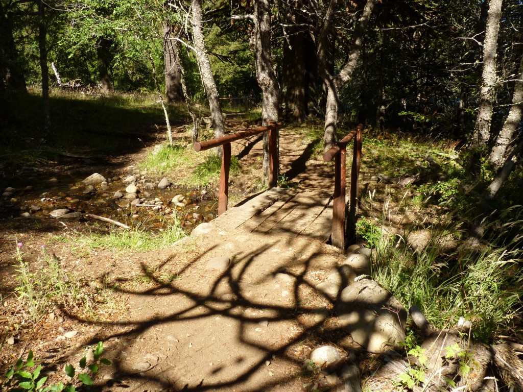 Foto: Parque Nacional Lanín. - Aluminé (Neuquén), Argentina