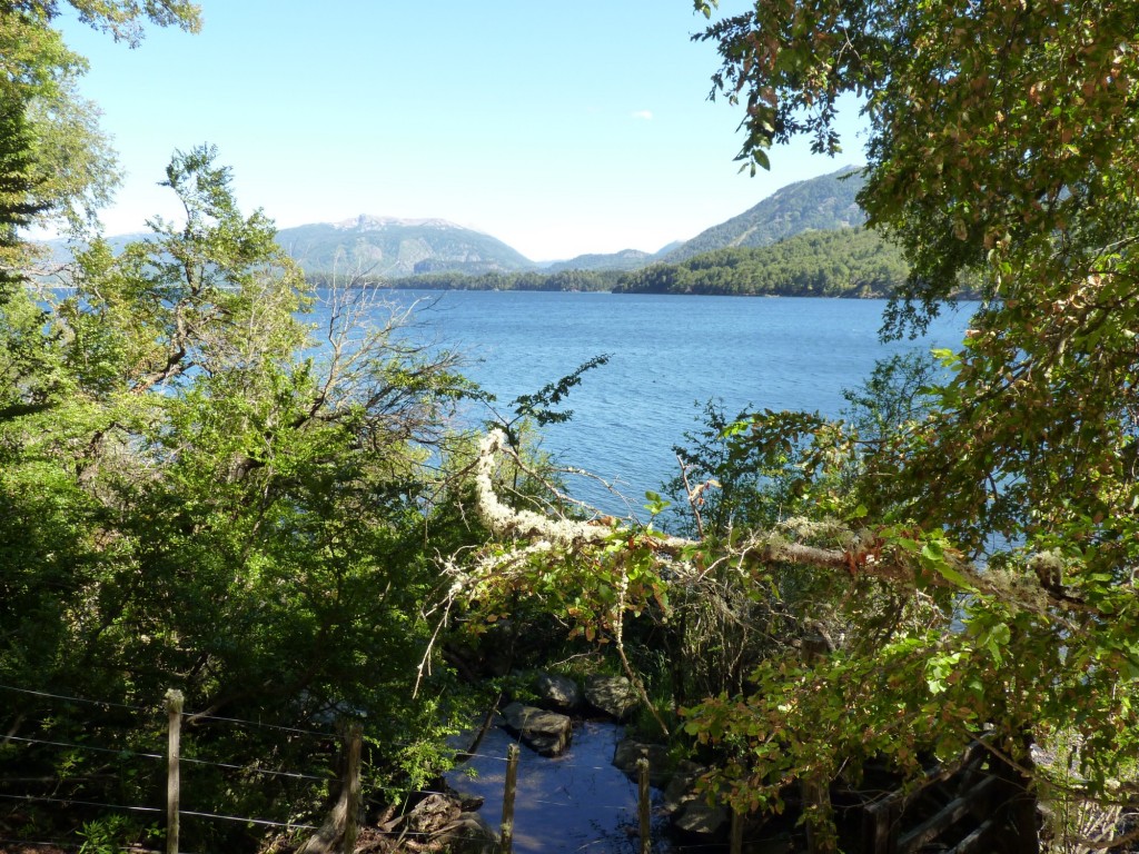 Foto: Parque Nacional Lanín. - Aluminé (Neuquén), Argentina