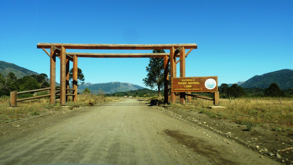 Foto: Parque Nacional Lanín. - Aluminé (Neuquén), Argentina
