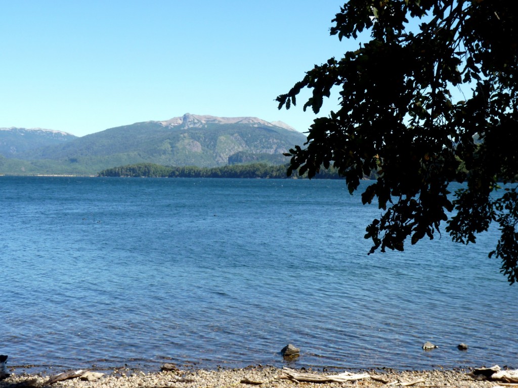 Foto: Parque Nacional Lanín. - Aluminé (Neuquén), Argentina