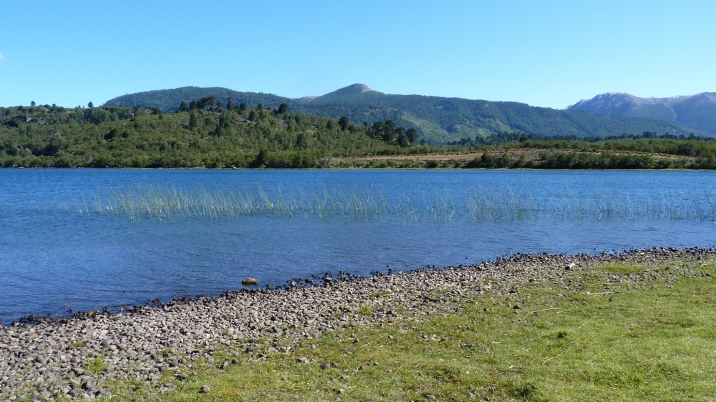 Foto: Parque Nacional Lanín. - Aluminé (Neuquén), Argentina