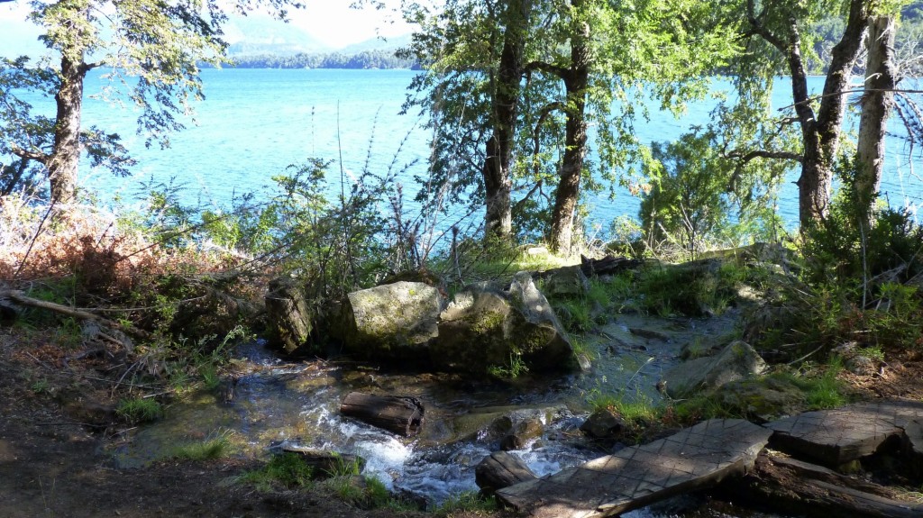 Foto: Parque Nacional Lanín. - Aluminé (Neuquén), Argentina