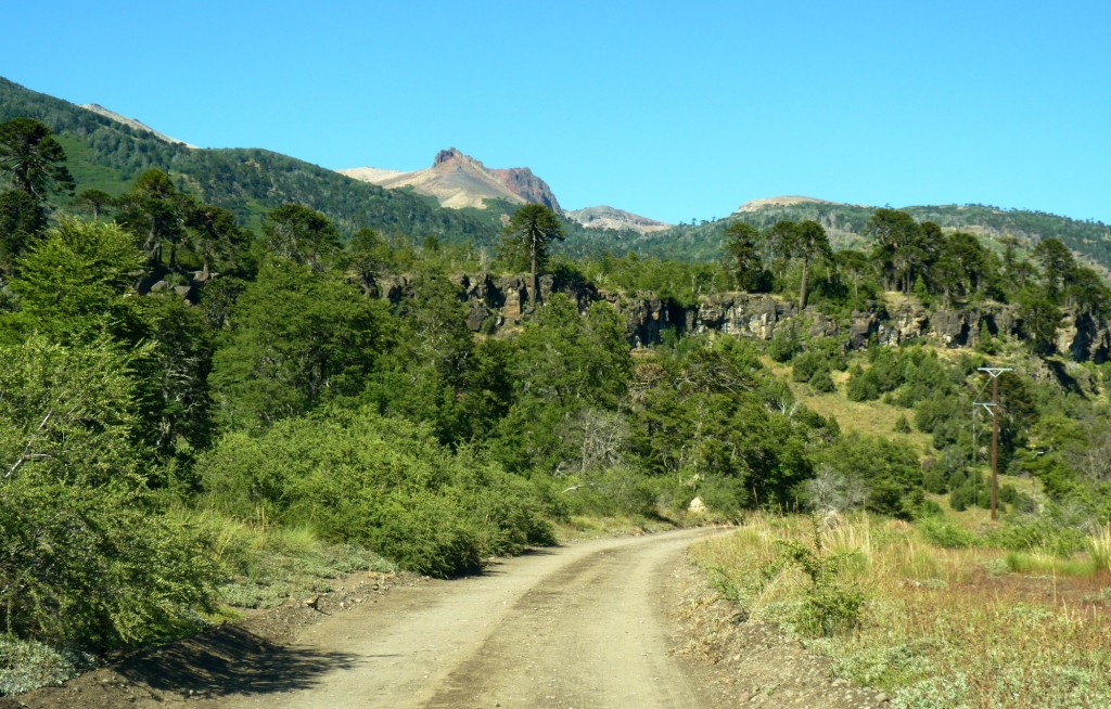 Foto: Parque Nacional Lanín. - Aluminé (Neuquén), Argentina