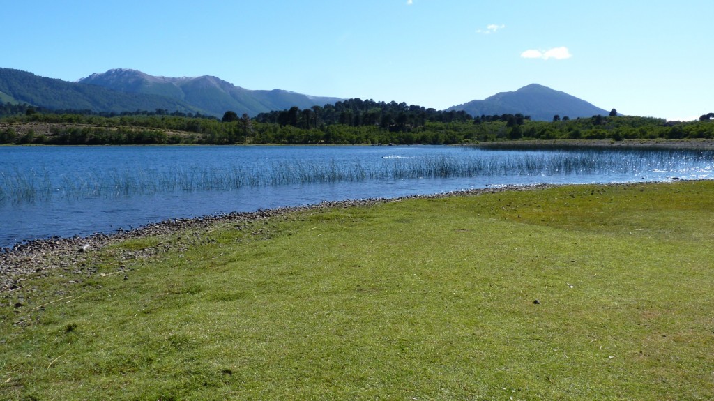Foto: Parque Nacional Lanín. - Aluminé (Neuquén), Argentina