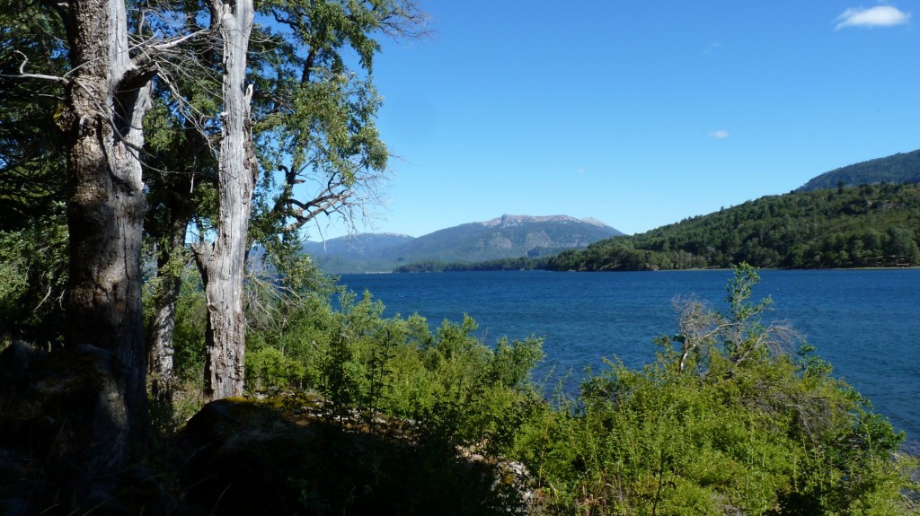 Foto: Parque Nacional Lanín. - Aluminé (Neuquén), Argentina