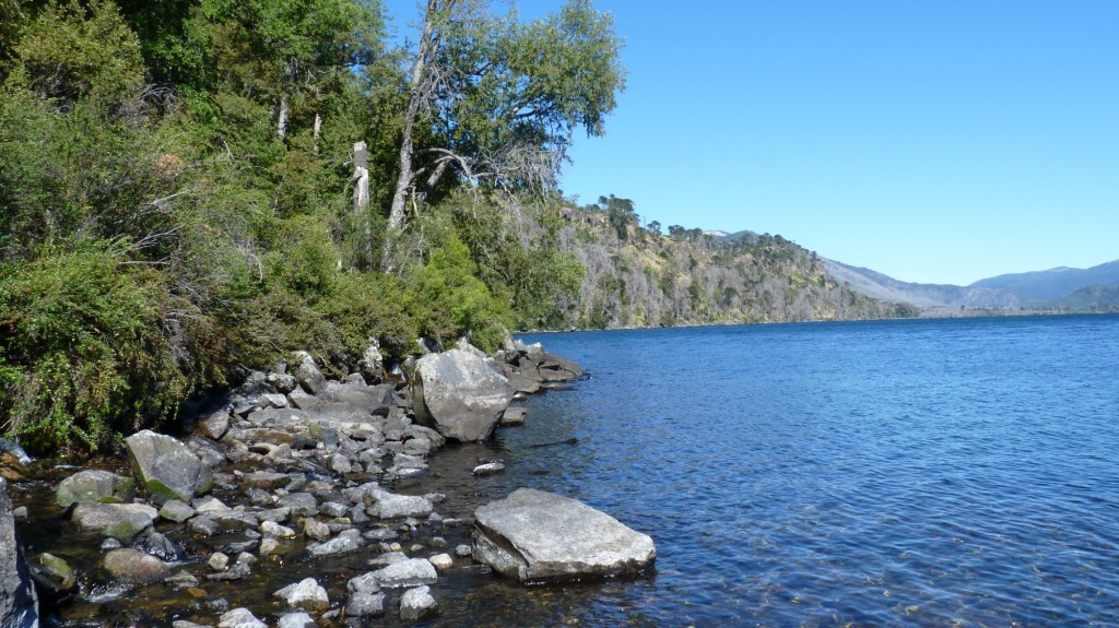 Foto: Parque Nacional Lanín. - Aluminé (Neuquén), Argentina