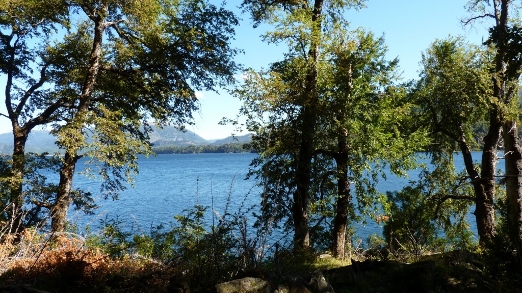Foto: Parque Nacional Lanín. - Aluminé (Neuquén), Argentina