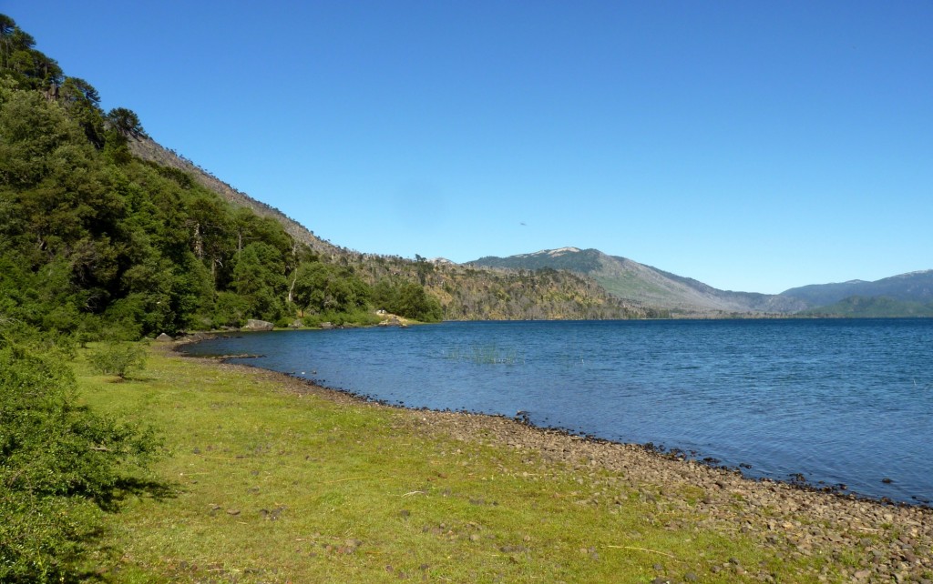 Foto: Parque Nacional Lanín. - Aluminé (Neuquén), Argentina