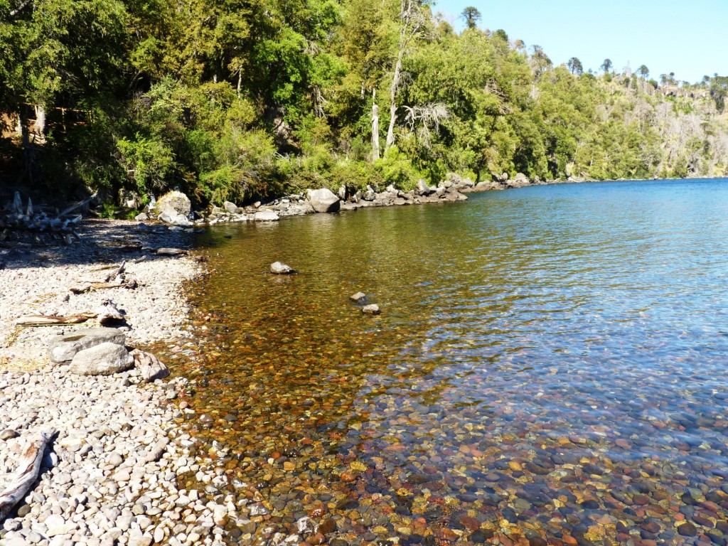 Foto: Parque Nacional Lanín. - Aluminé (Neuquén), Argentina