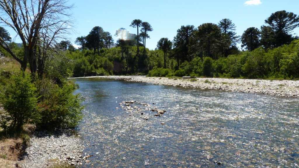 Foto: Villa Pehuenia - Aluminé (Neuquén), Argentina