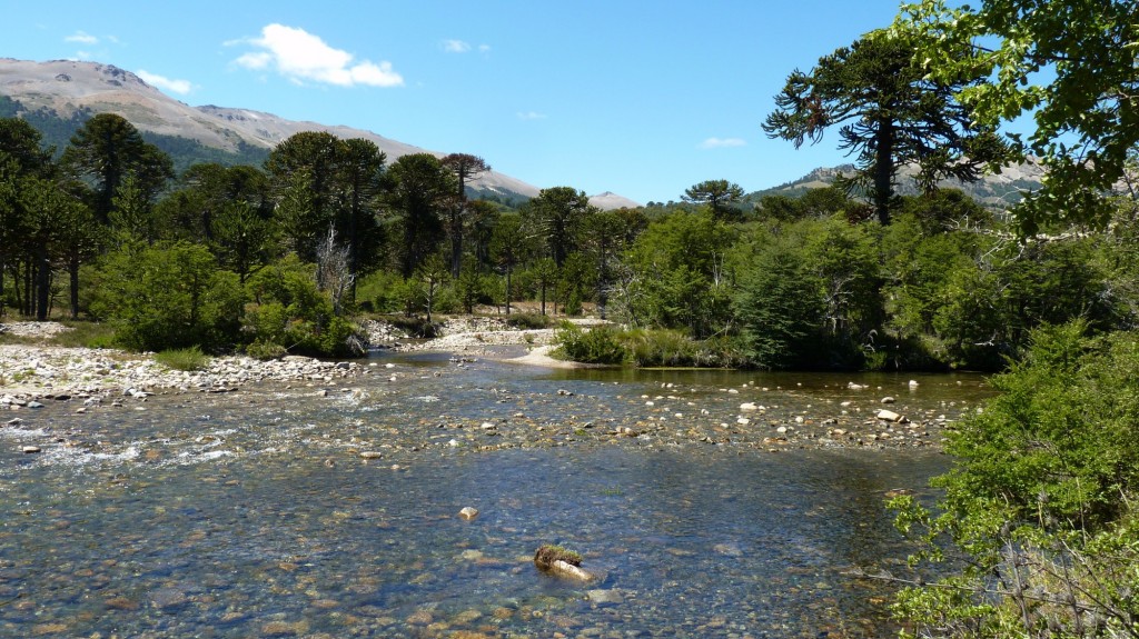 Foto: Villa Pehuenia - Aluminé (Neuquén), Argentina