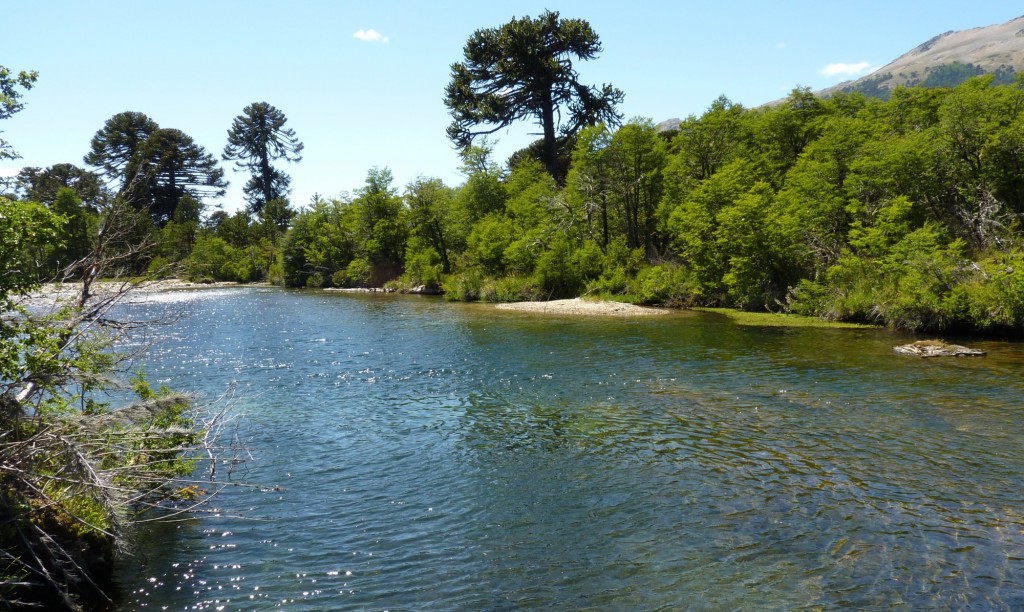 Foto: Villa Pehuenia - Aluminé (Neuquén), Argentina