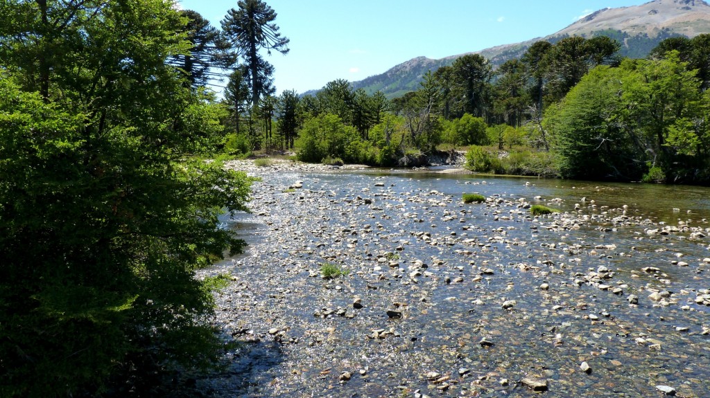 Foto: Villa Pehuenia - Aluminé (Neuquén), Argentina