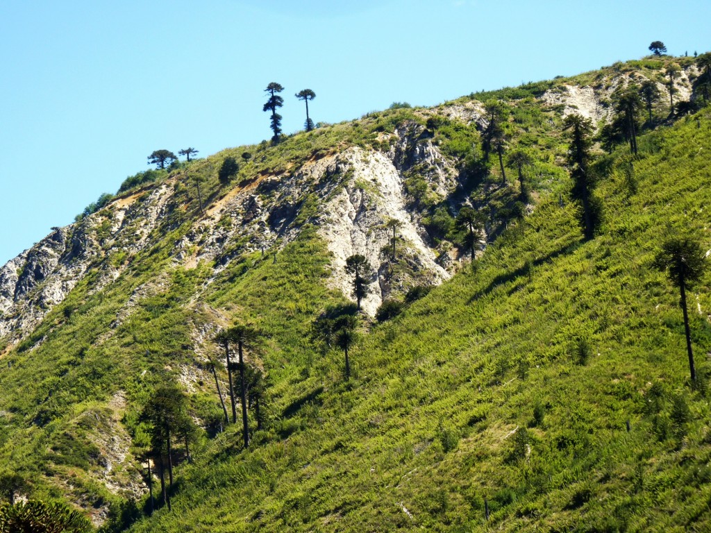 Foto: Villa Pehuenia - Aluminé (Neuquén), Argentina