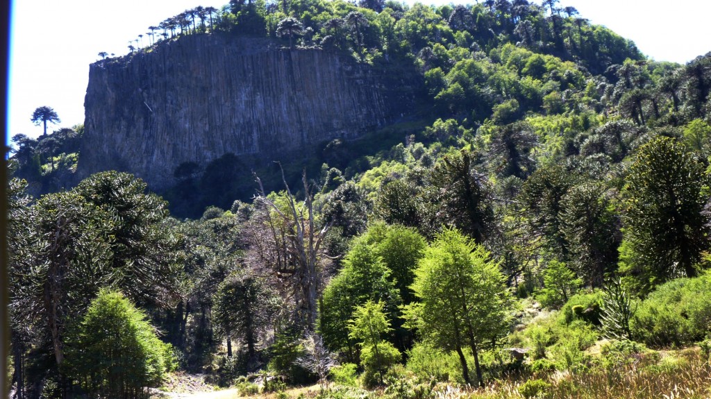 Foto: Villa Pehuenia - Aluminé (Neuquén), Argentina