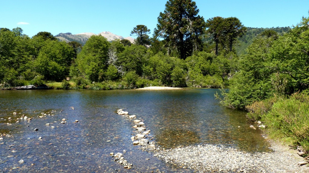 Foto: Villa Pehuenia - Aluminé (Neuquén), Argentina