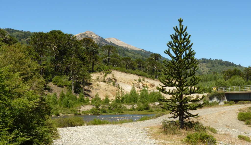 Foto: Villa Pehuenia - Aluminé (Neuquén), Argentina