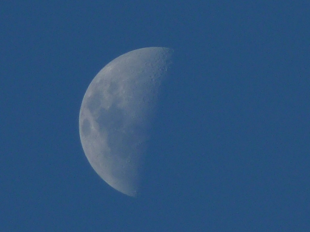 Foto de Aluminé (Neuquén), Argentina