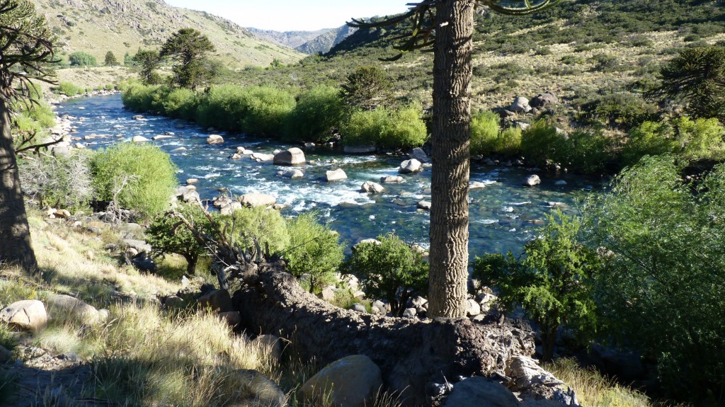 Foto: Villa Pehuenia - Aluminé (Neuquén), Argentina