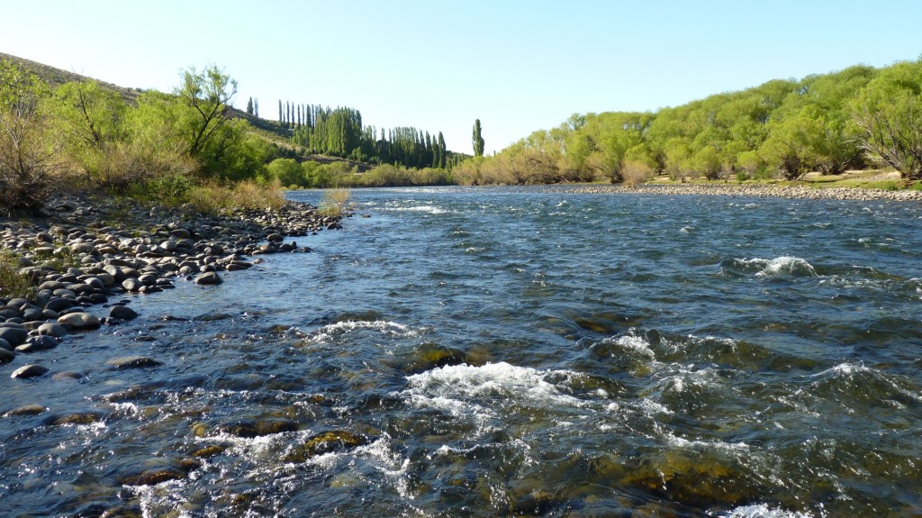 Foto: Rìo Aluminé - Aluminé (Neuquén), Argentina