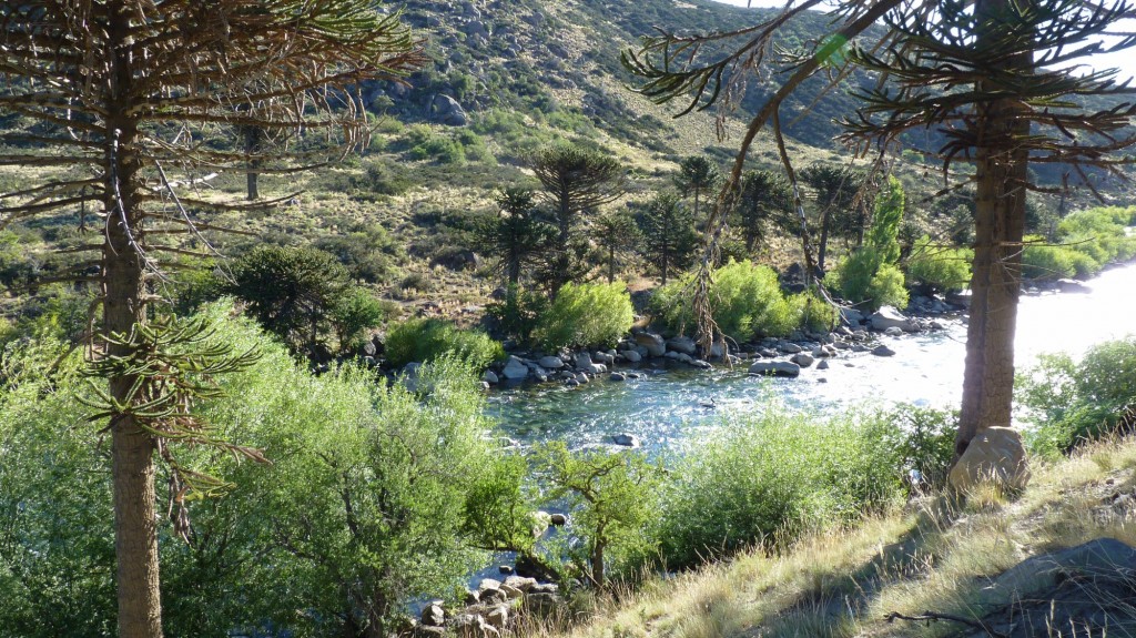 Foto: Villa Pehuenia - Aluminé (Neuquén), Argentina