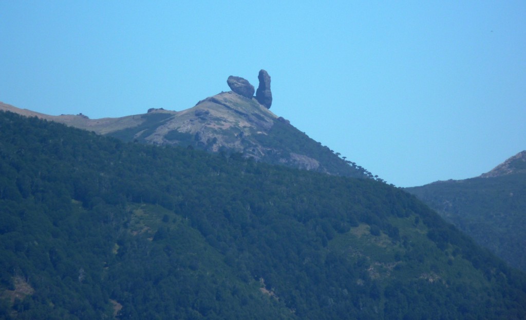 Foto: Parque Nacional Lanín - Aluminé (Neuquén), Argentina