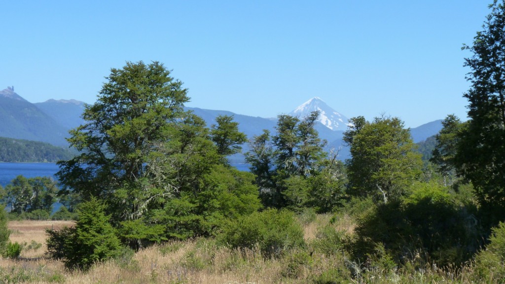 Foto: Parque Nacional Lanín - Aluminé (Neuquén), Argentina