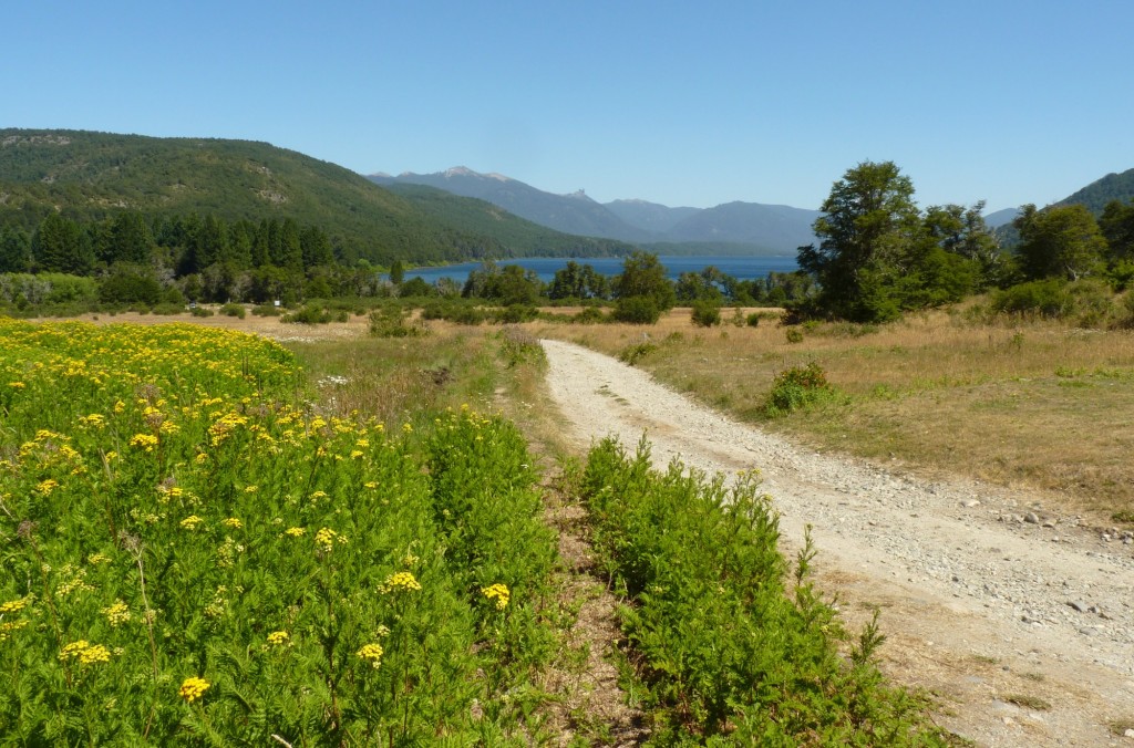 Foto: Parque Nacional Lanín - Aluminé (Neuquén), Argentina