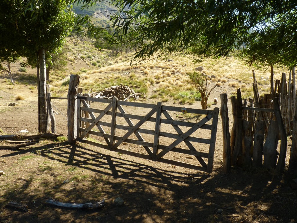 Foto: Parque nacional Lanín - Aluminé (Neuquén), Argentina