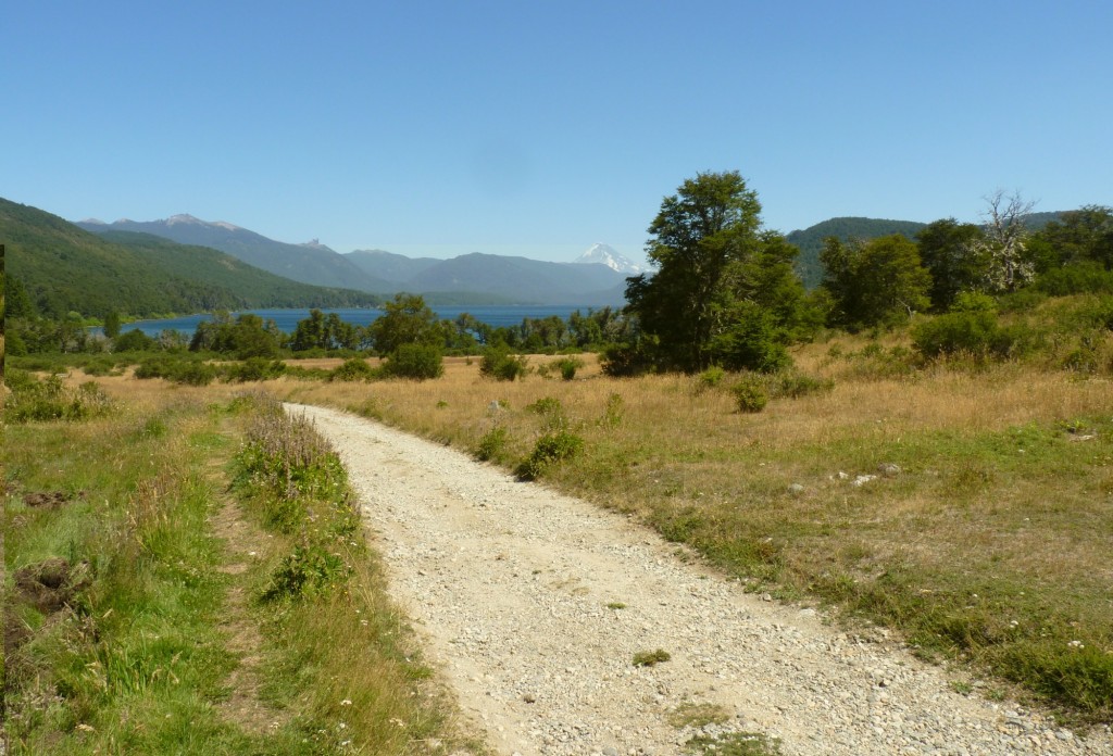 Foto: Parque Nacional Lanín - Aluminé (Neuquén), Argentina
