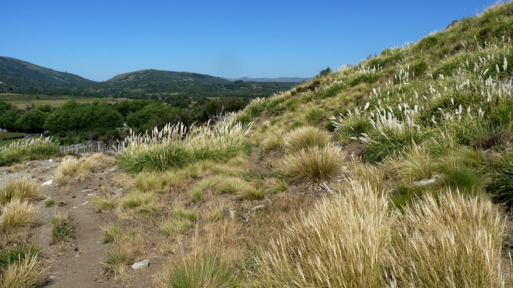 Foto de Aluminé (Neuquén), Argentina