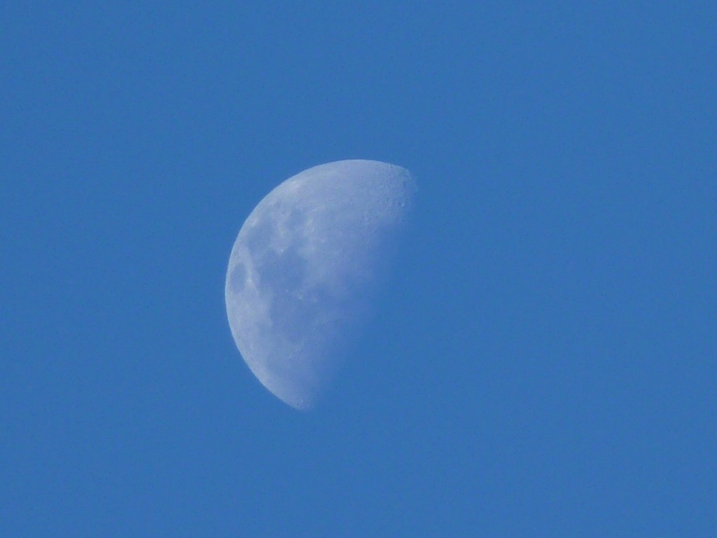 Foto: Lago Rucachoroi - Aluminé (Neuquén), Argentina