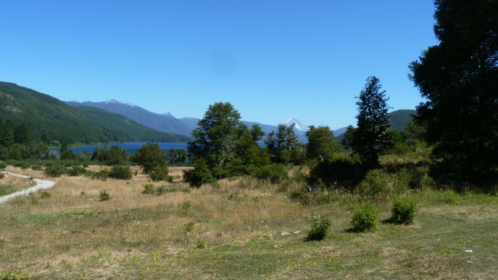Foto: Parque Nacional Lanín - Aluminé (Neuquén), Argentina