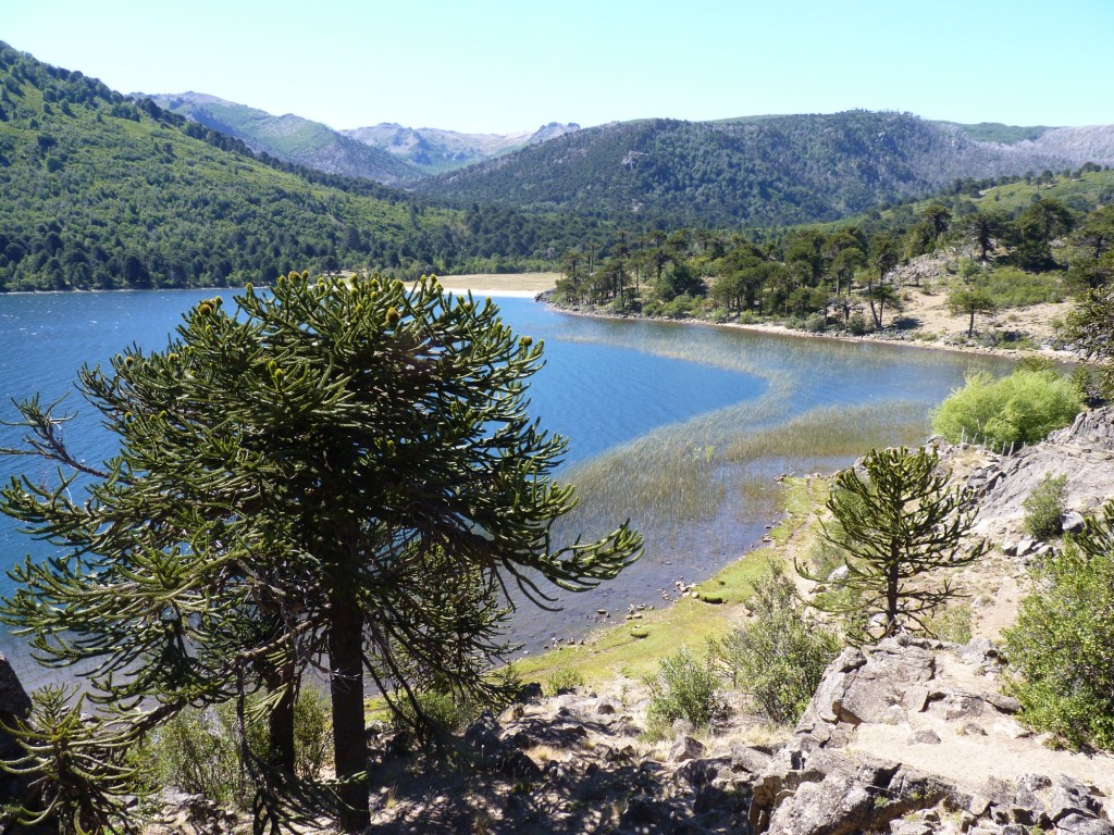Foto: Lago Rucachoroi - Aluminé (Neuquén), Argentina