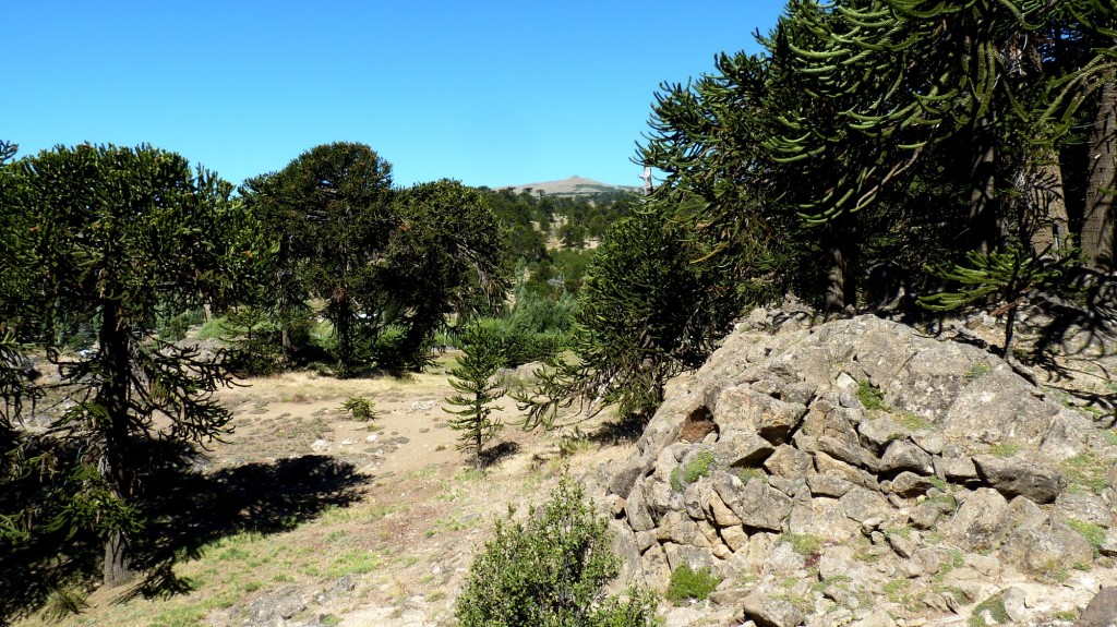 Foto: Lago Rucachoroi - Aluminé (Neuquén), Argentina