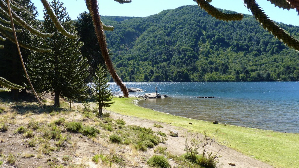 Foto: Lago Rucachoroi - Aluminé (Neuquén), Argentina