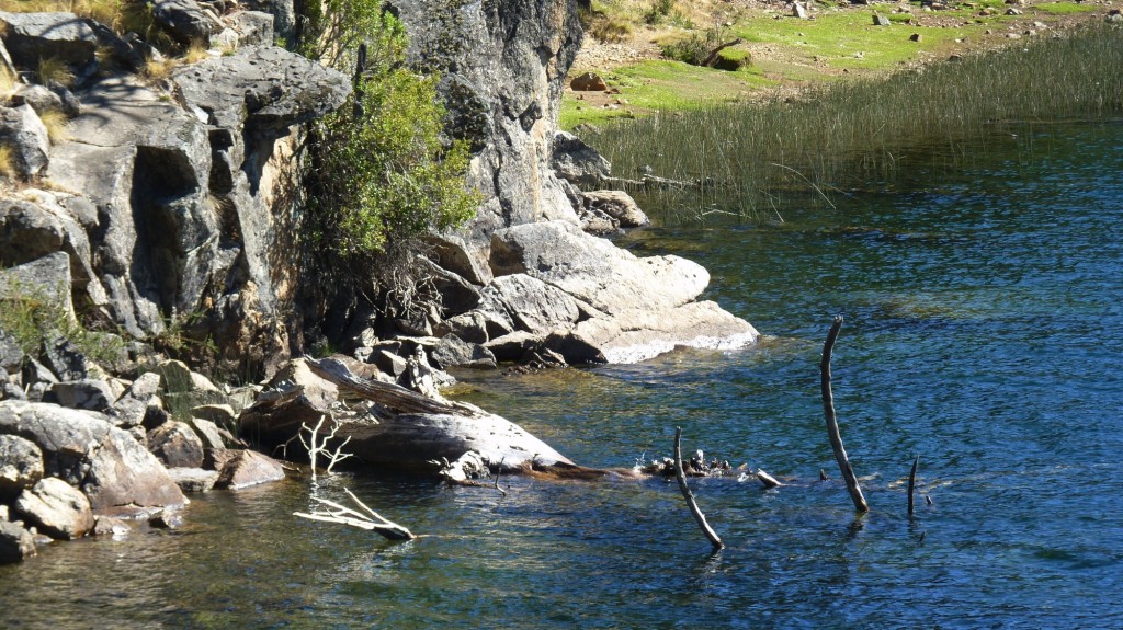 Foto: Lago Rucachoroi - Aluminé (Neuquén), Argentina
