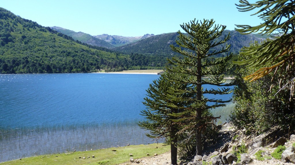Foto: Lago Rucachoroi - Aluminé (Neuquén), Argentina
